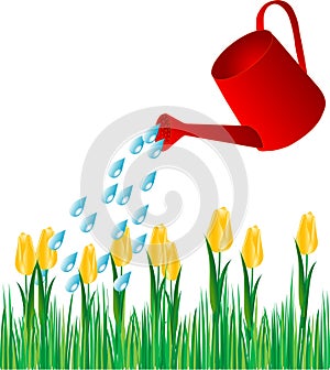 Watering can