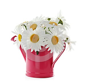 Watering can with beautiful  flowers on white background