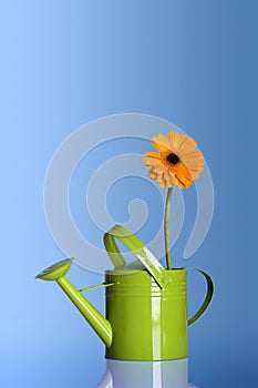 Watering can with a flower