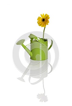 Watering can with a flower