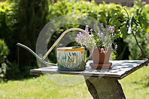 Watering can and flower