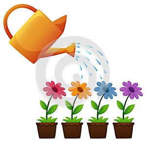 Watering can and flowers in garden