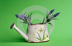 watering can with flowers on the green bsckground