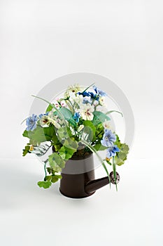 Watering can with flowers on a white background