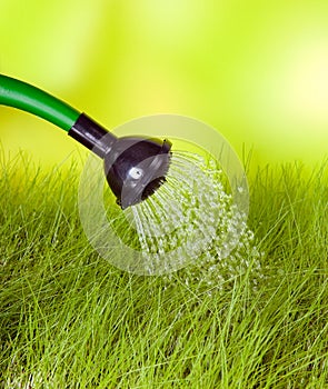 Watering can and grass