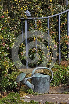 Watering can and ironwork