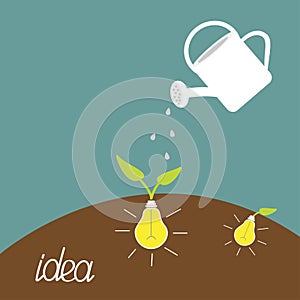 Watering can and lamp bulb plant. Growing idea concept.