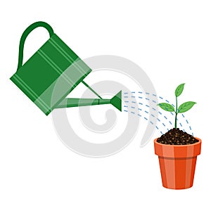 Watering can and plant in the pot.