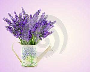 Watering can with plucket lavender