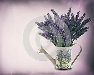 Watering can with plucket lavender