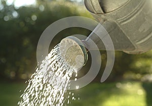 Watering Can Pouring Water