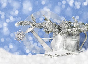 Watering Can Snow Drift