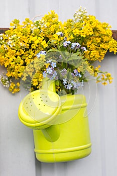 watering can and spatula for planting in the garden with a bouquet of flowers.
