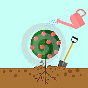 Watering can sprays water drops. Grow tree from the seed tree. Sprout, sapling with shovel, spade.