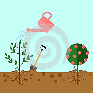 Watering can sprays water drops. New plant, sprout, sapling with shovel, spade isolated on background. Gardening, planting process