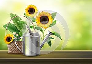 Watering can and sunflowers