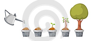 Watering can with tree life cycle vector