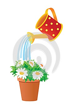 Watering can waters flowers in a pot