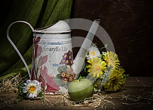 Watering can with yellow flowers and green apple on the dark background