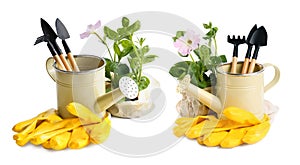 Watering cans, flowers and different gardening tools on white background. Banner design