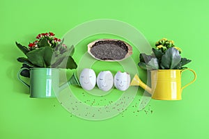 Watering cans with flowers, eggs and earth.