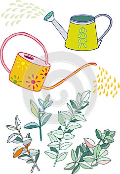 Watering cans and spindle twigs