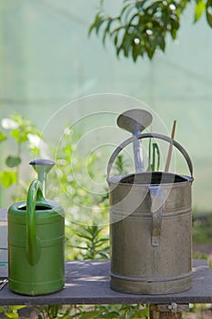 Watering cans on a table photo