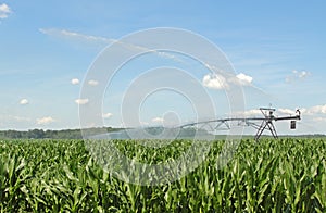 Watering Corn Crop