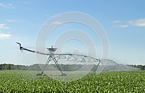 Watering Corn Crop