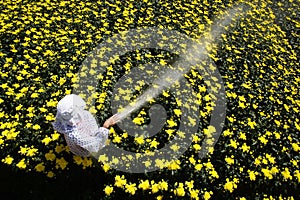 Watering flowers