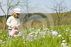 Watering Flowers