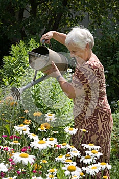 Regando flores capaz 