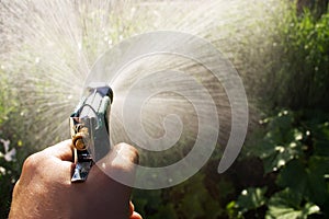 Watering garden photo