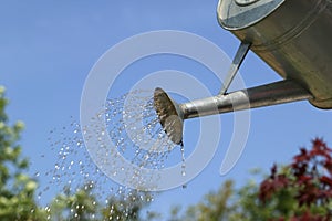 Watering the garden