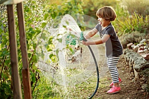 Watering garden