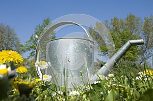 Watering garden can