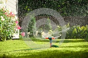 Watering garden with a hose at heat summer. Close up.