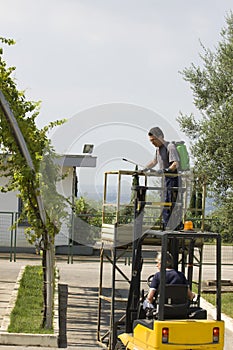 Watering grapes