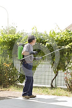 Watering grapes