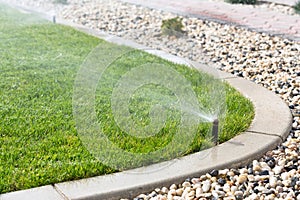 watering grass