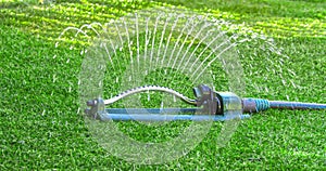 Watering green lawn during the spring with oscillating sprinkler water host