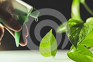 Watering green plants on white and black background with a myst tool