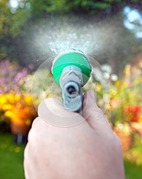 Watering hose pipe garden flowers