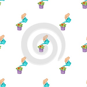 Watering the houseplant in a pot. Home Flower single icon in cartoon style vector symbol stock illustration web.