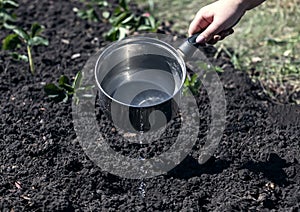 Watering the land before planting.