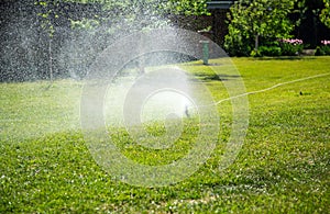 Watering the lawn