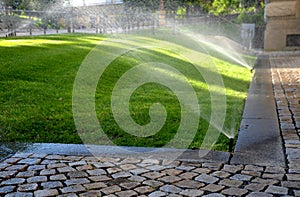 watering lawn automatic irrigation with pull-out sprinklers fresh green color black plastic nozzles extend and rotate in circular