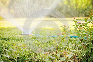 Watering the lawn with a sprinkler