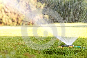 Watering the lawn with a sprinkler