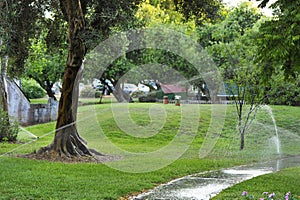 Watering Lawns